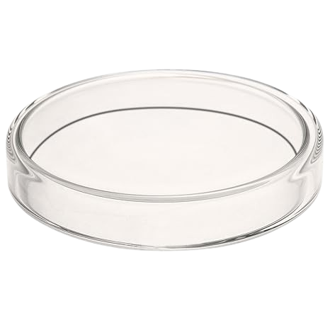 Petridish Glass